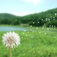 广告联盟中CPA广告、CPS广告、CPC、CPM是什么