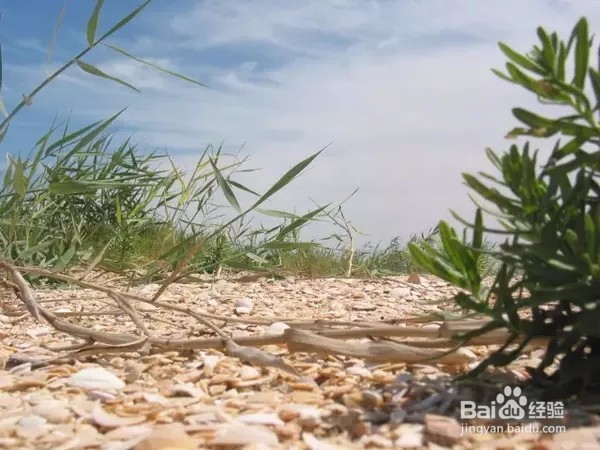 童话美景不只存在书中，看山东现实中的童话影像