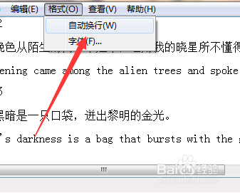 文本文档怎么设置自动换行