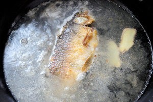 美食汤羹--清炖鲫鱼汤