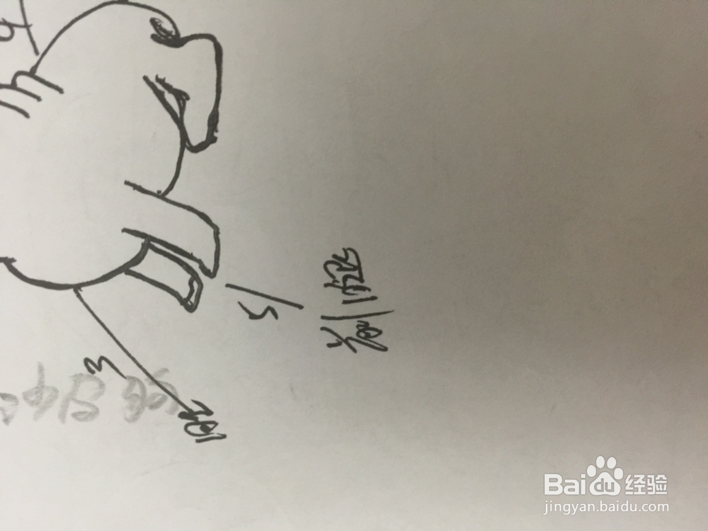 如何画在想问题的沙皮狗。