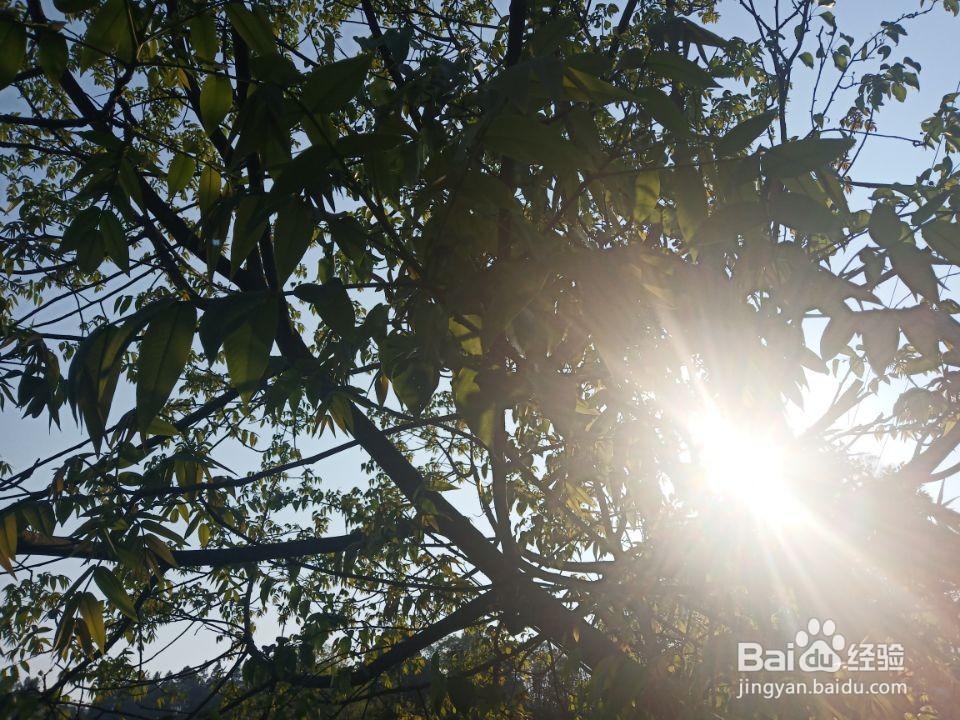 如何形成好的公共生活