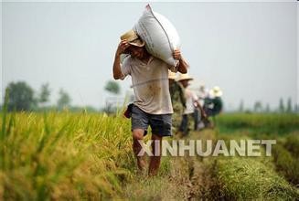 国庆过后，到长沙乡村怎样找农村人的乐子！！！