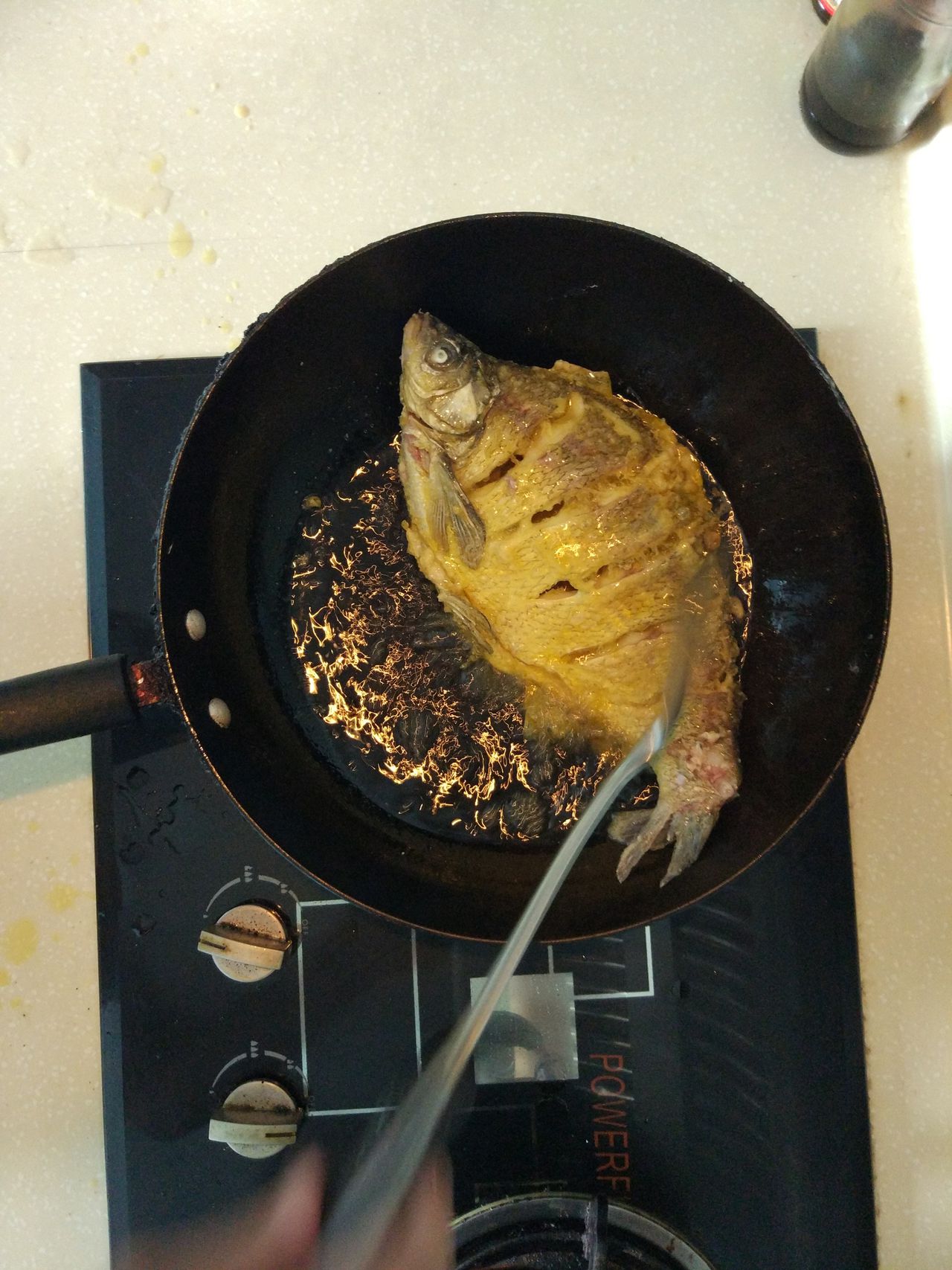 超级美味的豆豉鱼藤椒鱼，今天就来教你做