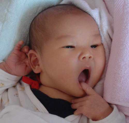 家居布置也能影响孩子性别