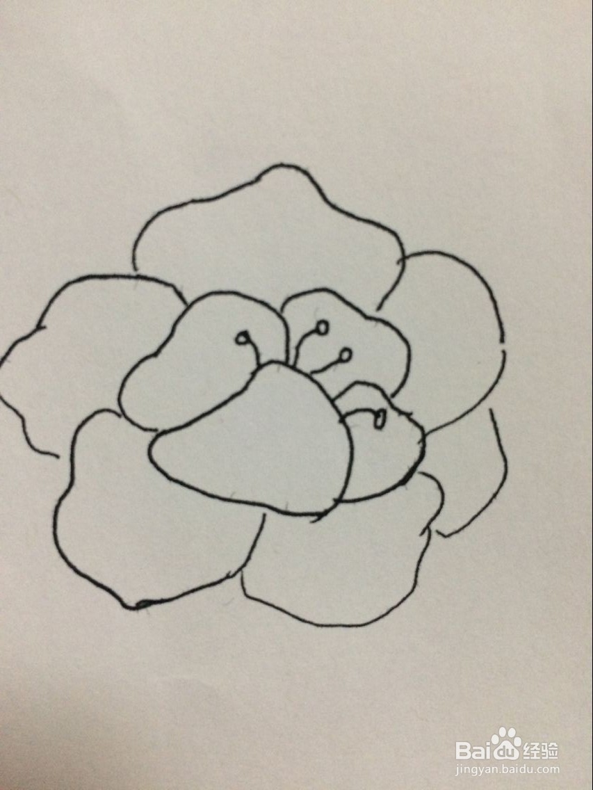 怎样手工画牡丹