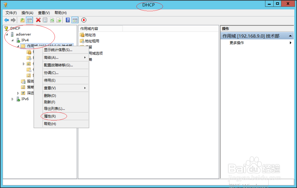 Windows服务器如何禁用DHCP IPv4作用域名称保护