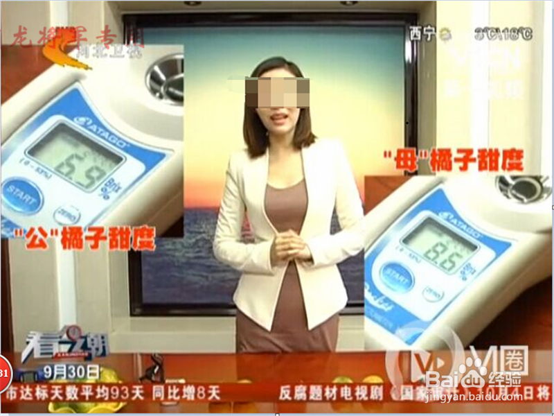 教你怎么挑选橘子