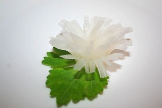 （水晶白玉菊）