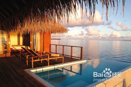 马尔代夫可可棕榈岛