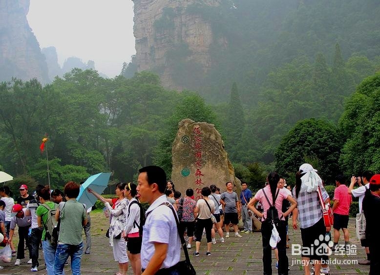 上海到张界自助游攻略