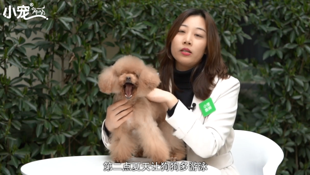 怎么预防与医治狗狗髌骨脱位