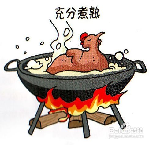 如何预防人感染禽流感