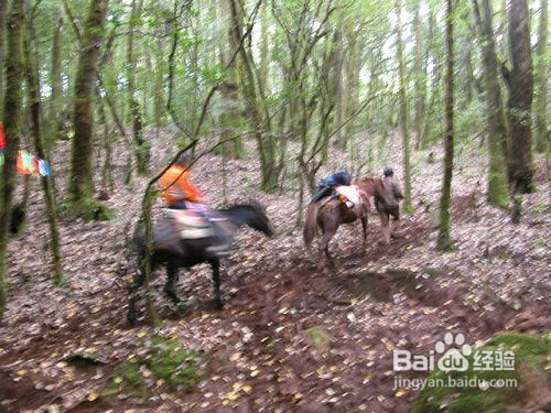 云南鸡足山游玩攻略