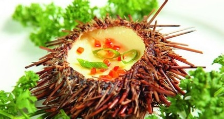 宝宝辅食菜谱:海胆炖蛋