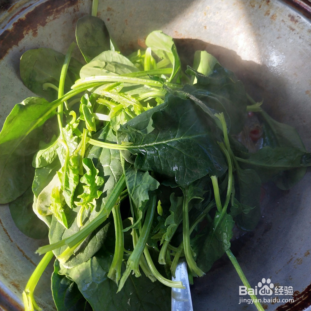 菠菜粉丝简单做法