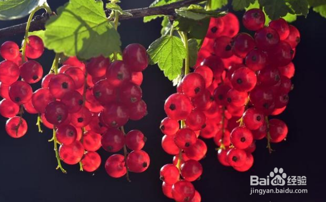 摄影时怎么能拍出来“透亮”的片子？