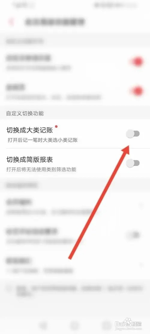 有鱼记账APP里面怎么切换成大类记账