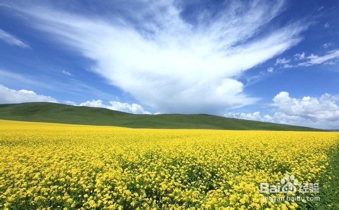 行摄青海湖、徒步祁连山-经验及攻略