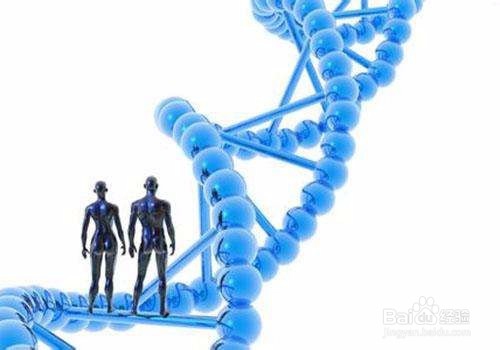 孕期吃什么宝宝皮肤好