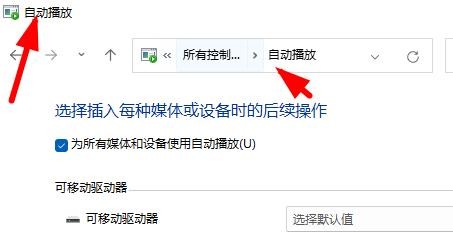 Windows11如何基于控制面板打开自动播放选项