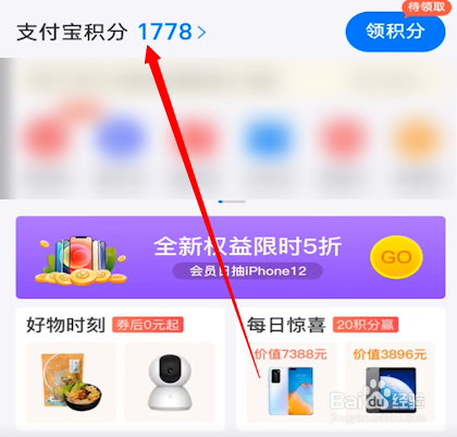 支付宝积分在哪里看