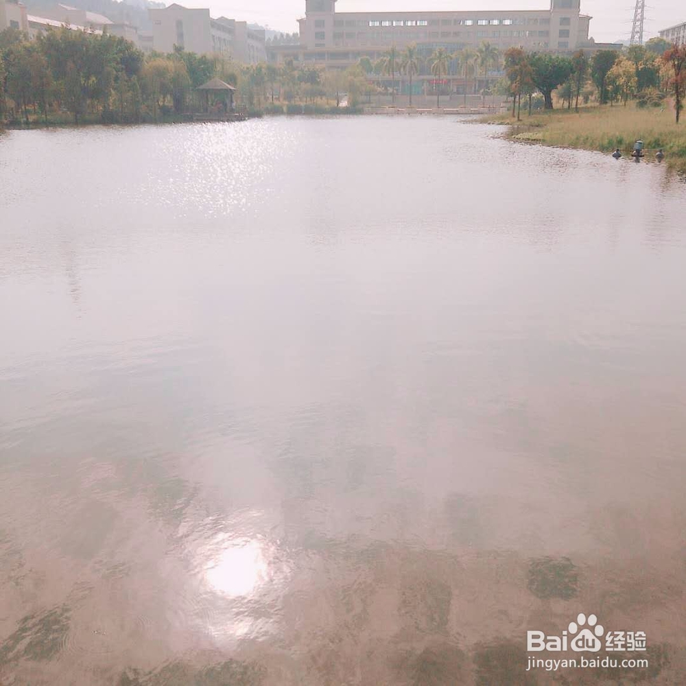 【校园指南】东莞理工学院城市学院建筑分布图