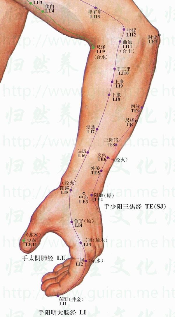 三叉神经痛：[1]风寒痹阻型针刺疗法