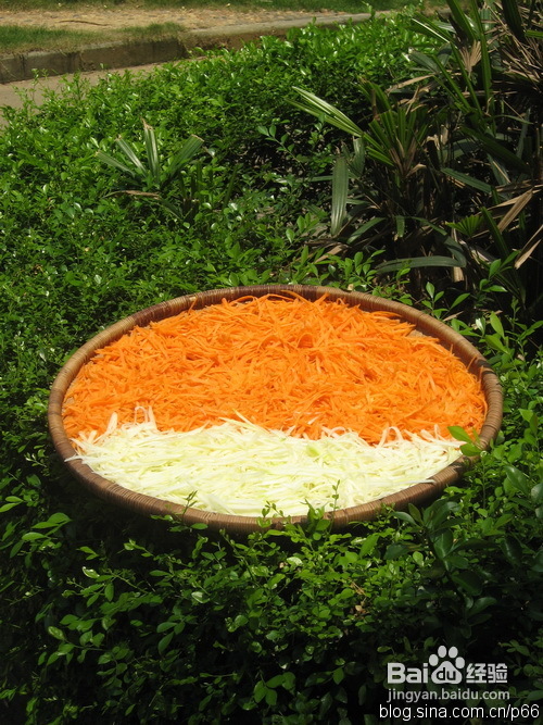 又到了收获的季节——秘制香辣什锦菜