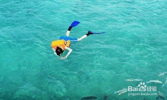 组团外出旅游应该注意那些事项？