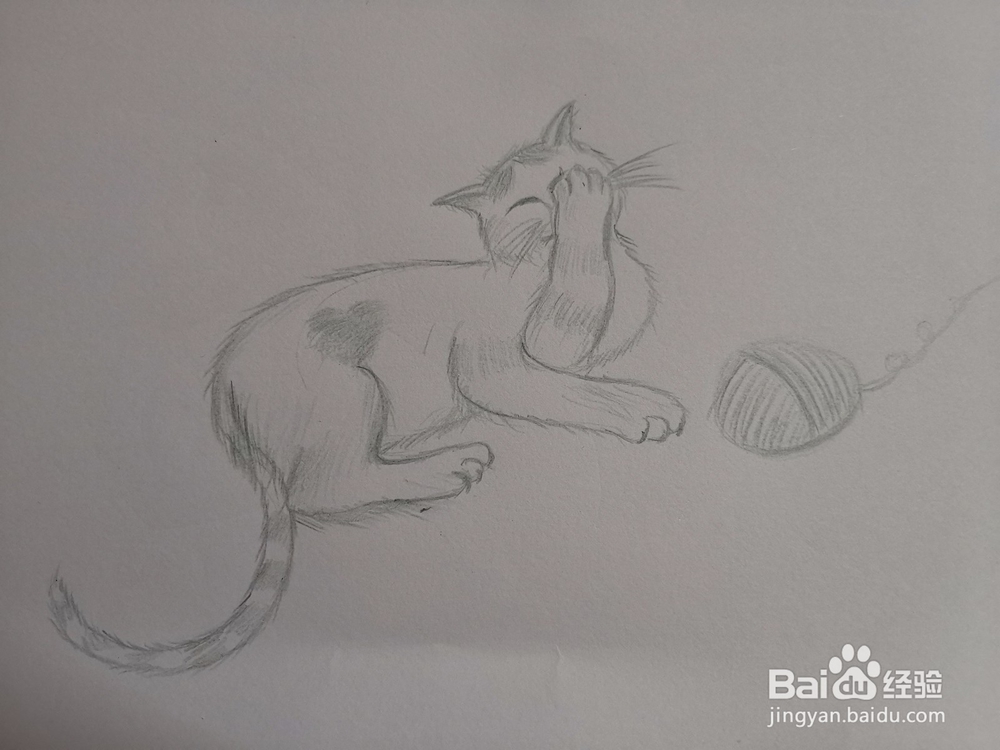 可爱的猫咪简笔画怎么画