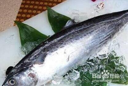马鲛鱼应该如何挑选
