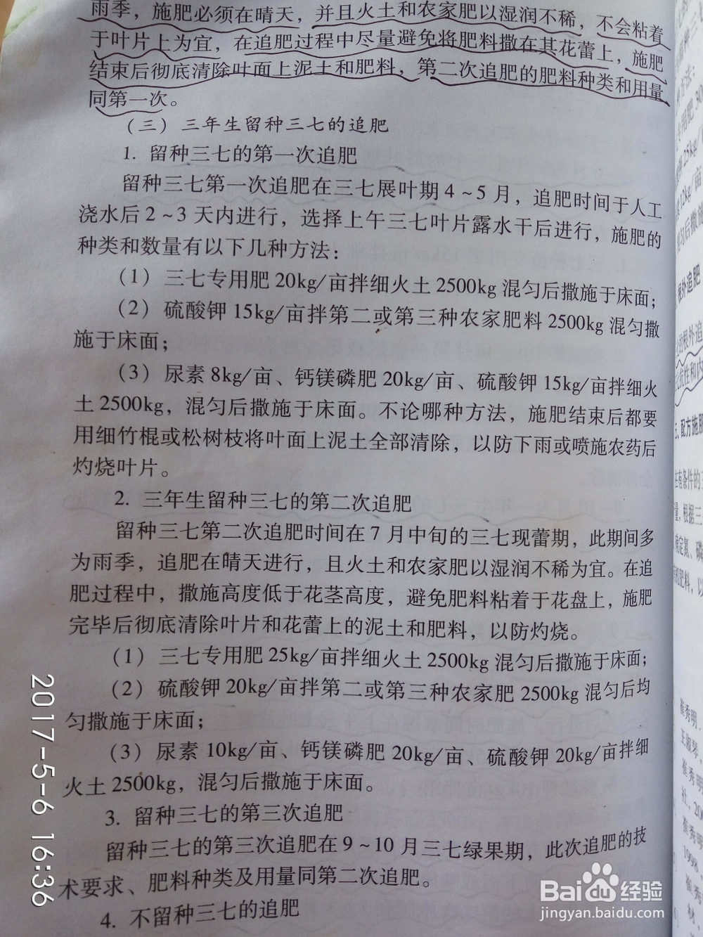 如何辨别三七的优劣,种植园技术员为您解惑