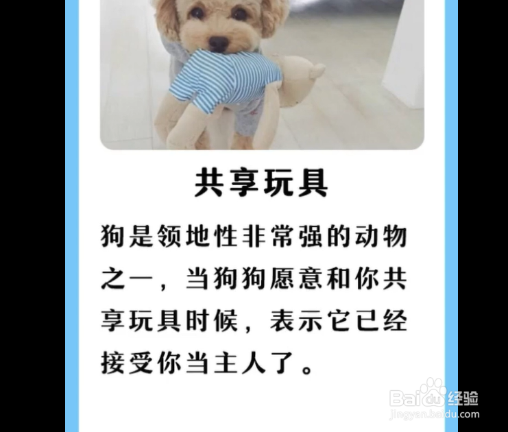 狗狗对主人，有哪些表现？