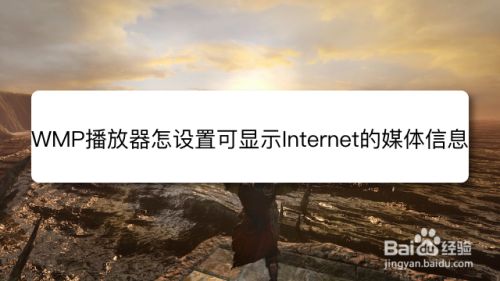 WMP播放器怎么设置可显示Internet的媒体信息