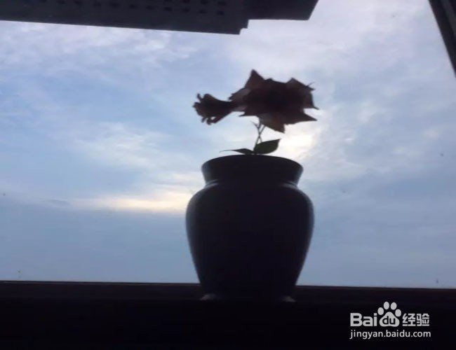 想开始读书,怎么读呢