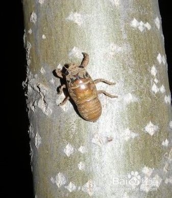 怎样建立和谐的夫妻关系