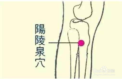 肝脏出现损伤，喝点康兮寿兮药谷黄花郎茶