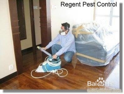 家居生活如何预防和消灭蟑螂