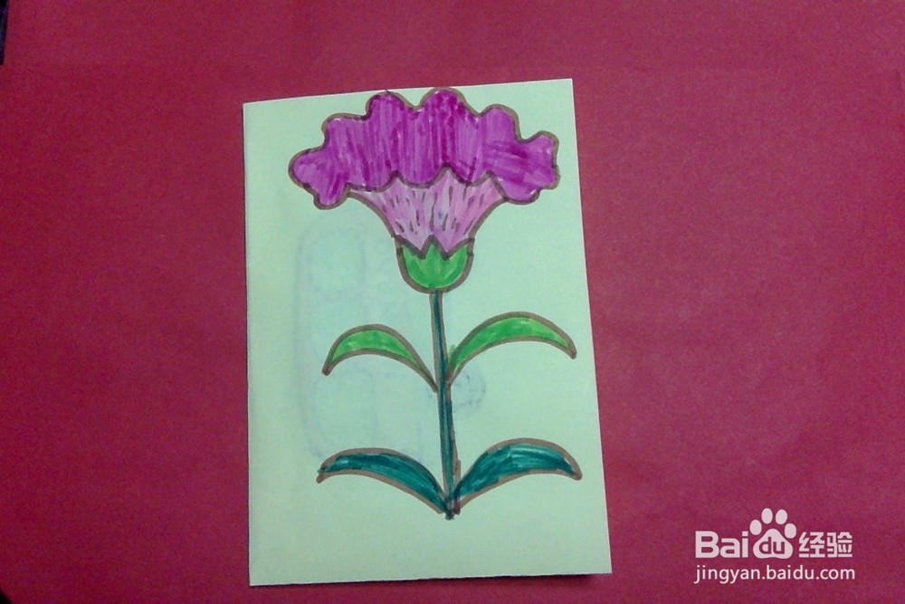 简笔画怎么画鸡冠花的画法简单儿童启蒙绘画花朵