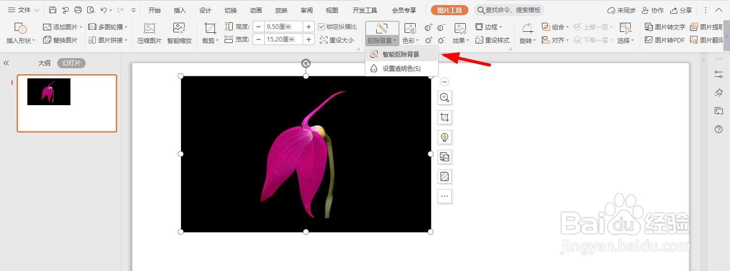 怎么用ppt扣除图片背景