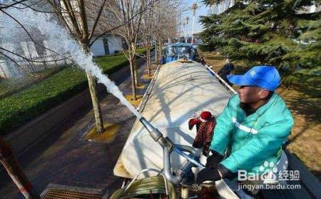 街道旁的行道树会缺水,原来是这原因