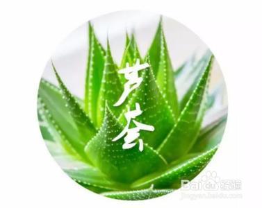 生活小妙招之----芦荟的那些事