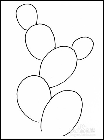 怎样画简笔画（花卉）：[6]仙人掌