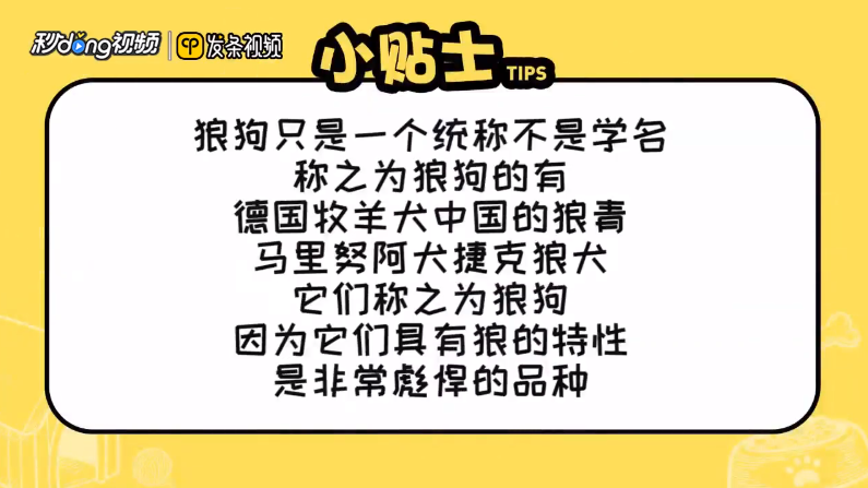 狼狗品种有哪些