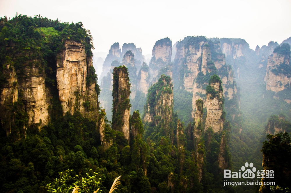 2019张家界旅游攻略