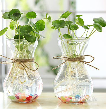 鲜花泡水里面怎样保存