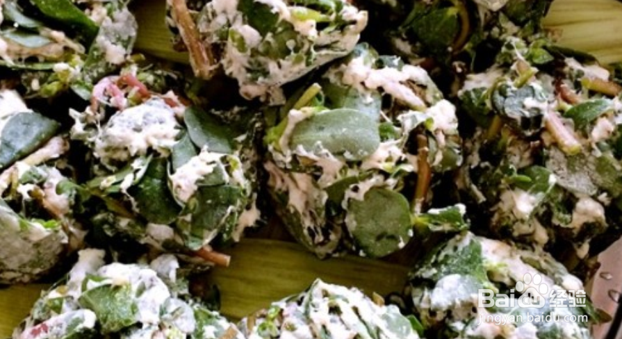 马齿苋素馅怎么做好吃