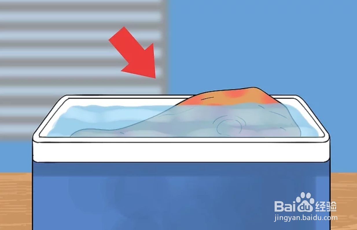 如何保存动物标本