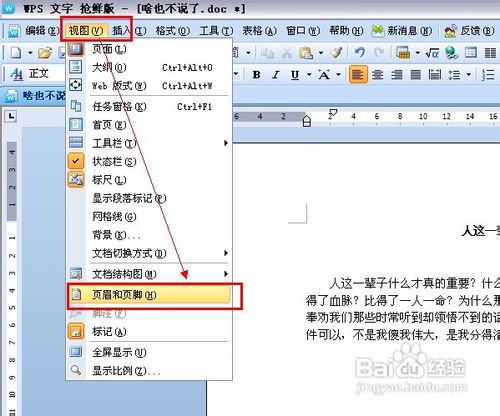 WPS文字中加水印(图片和文字水印)